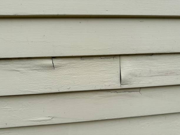 Best Engineered Wood Siding  in USA